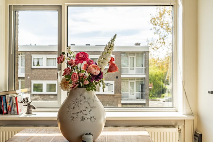 Foto 12 van Meeslaan 6