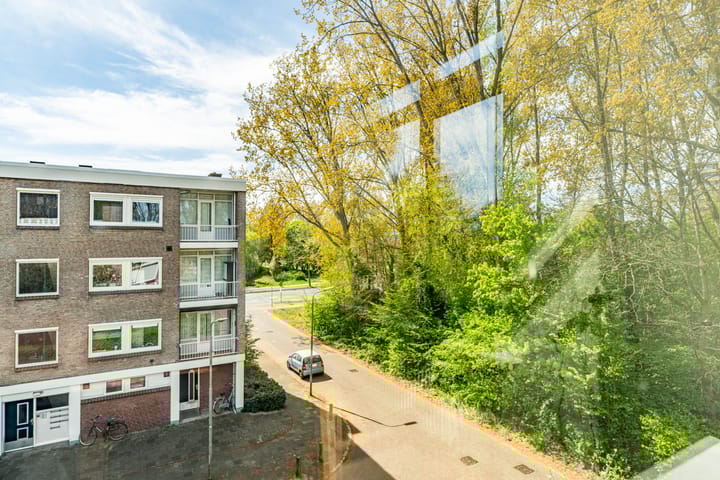 Foto 13 van Meeslaan 6