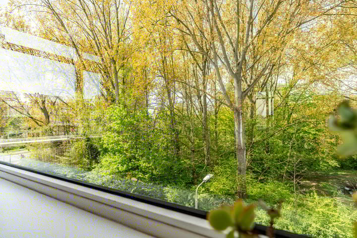 Foto 14 van Meeslaan 6