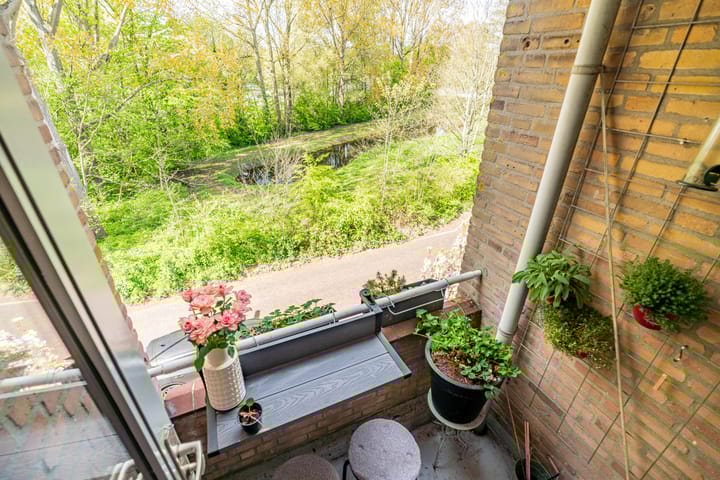 Foto 19 van Meeslaan 6