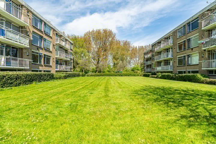 Foto 37 van Meeslaan 6