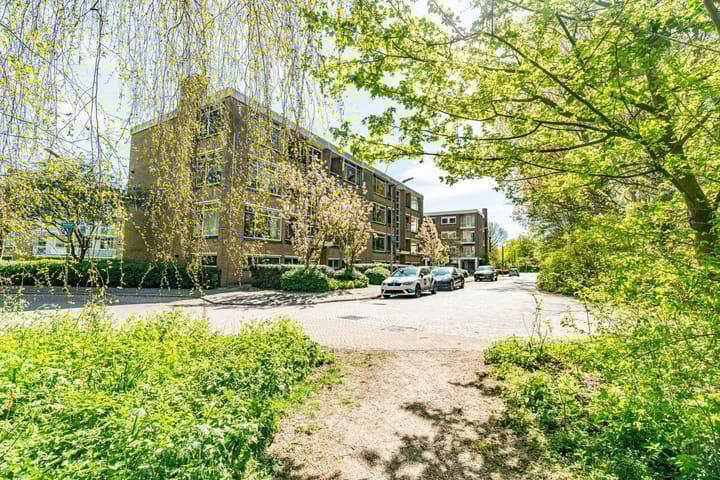 Foto 38 van Meeslaan 6