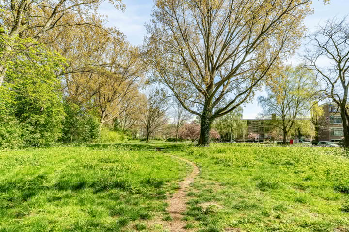 Foto 39 van Meeslaan 6