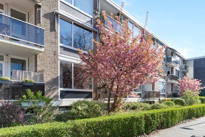 Photo 34 of Koningsweg 16