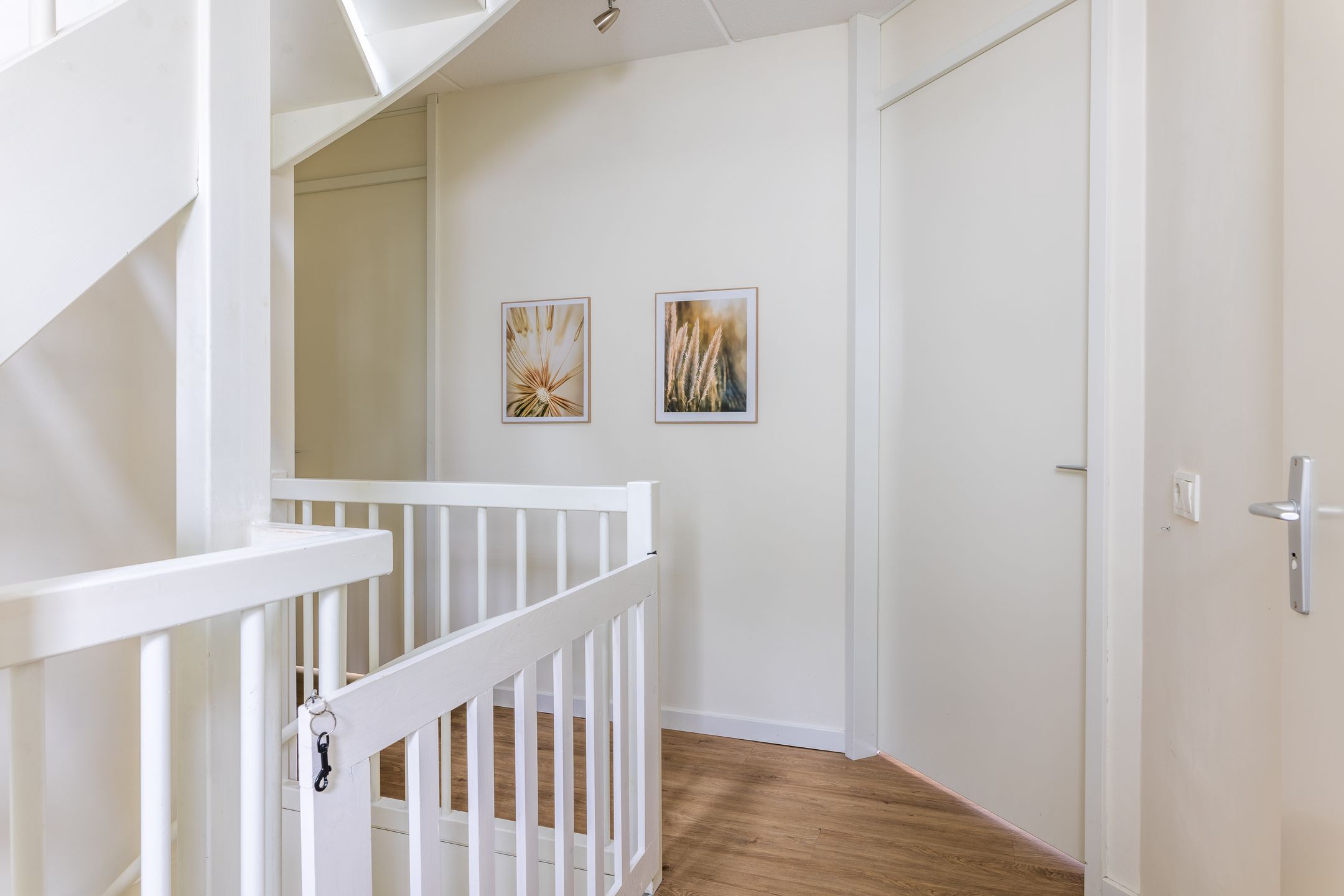 Foto 27 van Waterjuffer 28