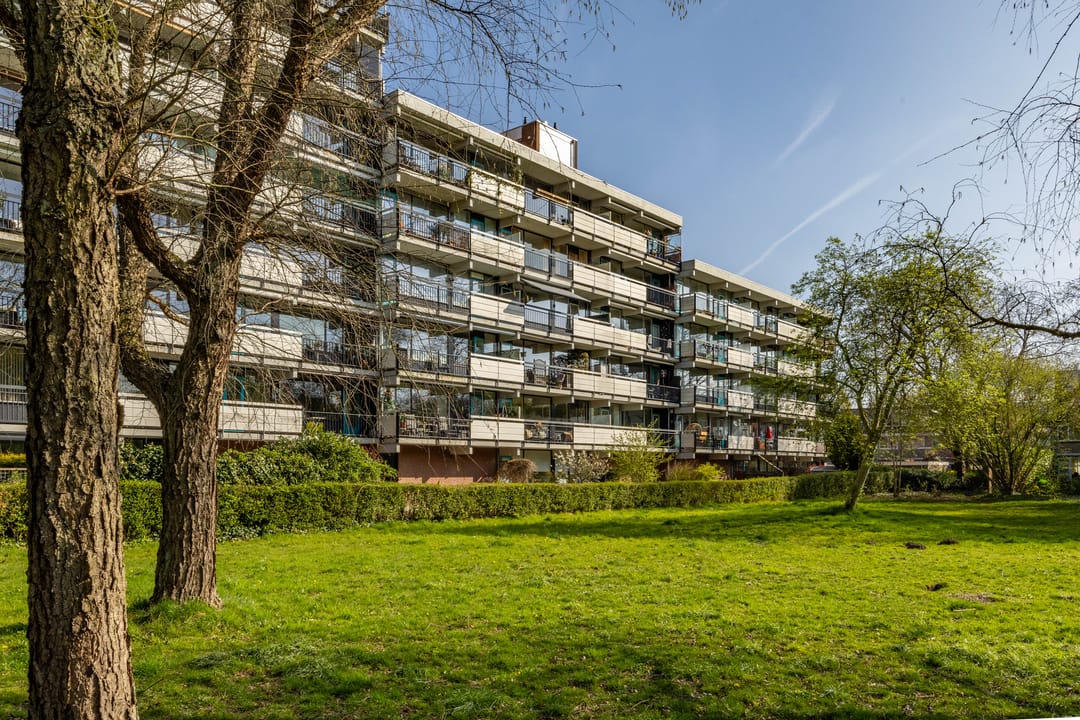 Foto 1 van Top Naefflaan 47