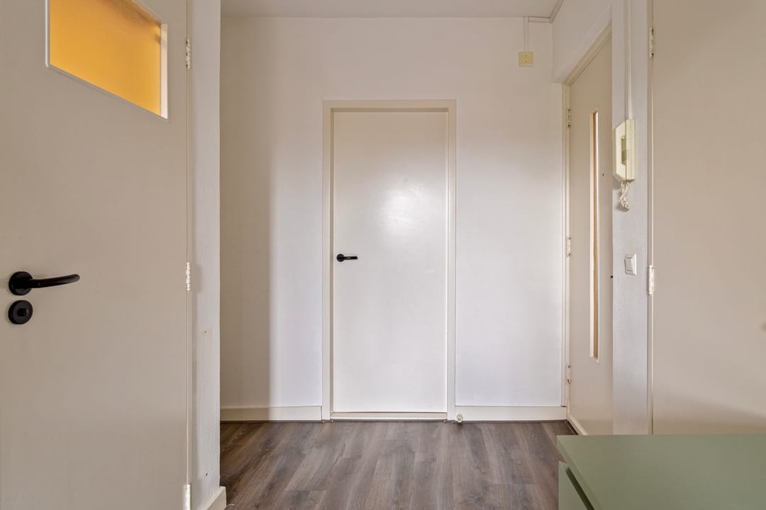 Foto 31 van Adriaan van Ostadestraat 99