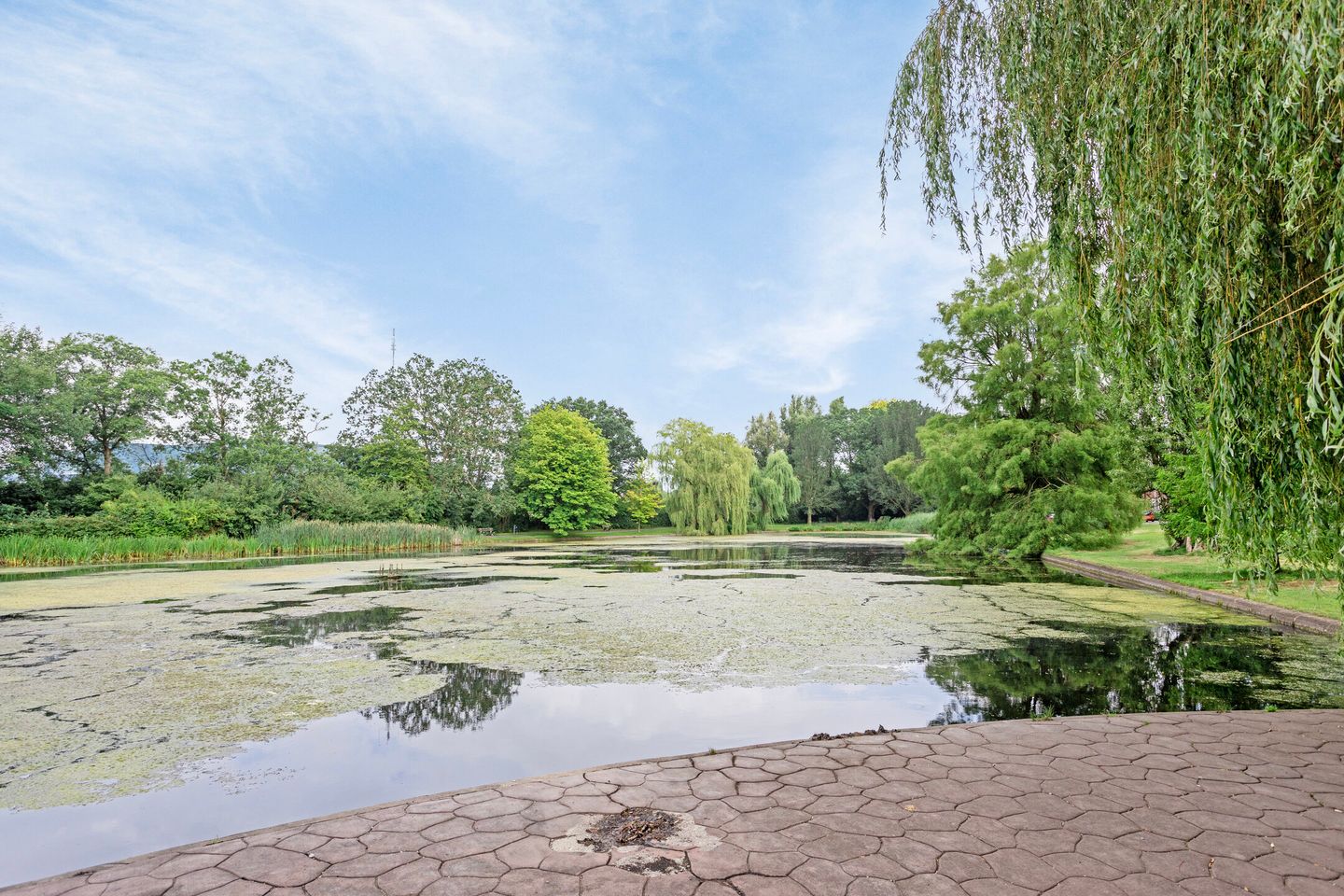 Foto 35 van Adriaan van Ostadestraat 99