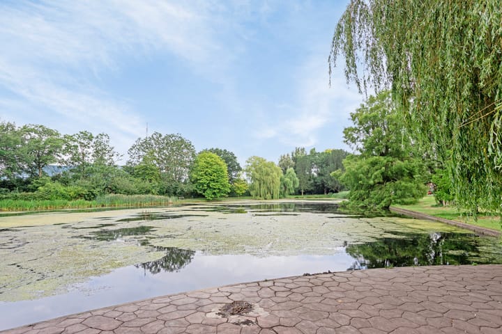 Foto 35 van Adriaan van Ostadestraat 99