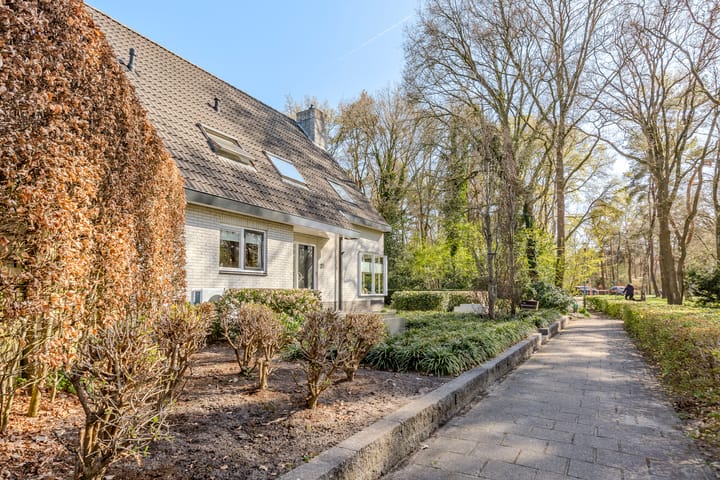 Foto 3 van Koperwiek 31