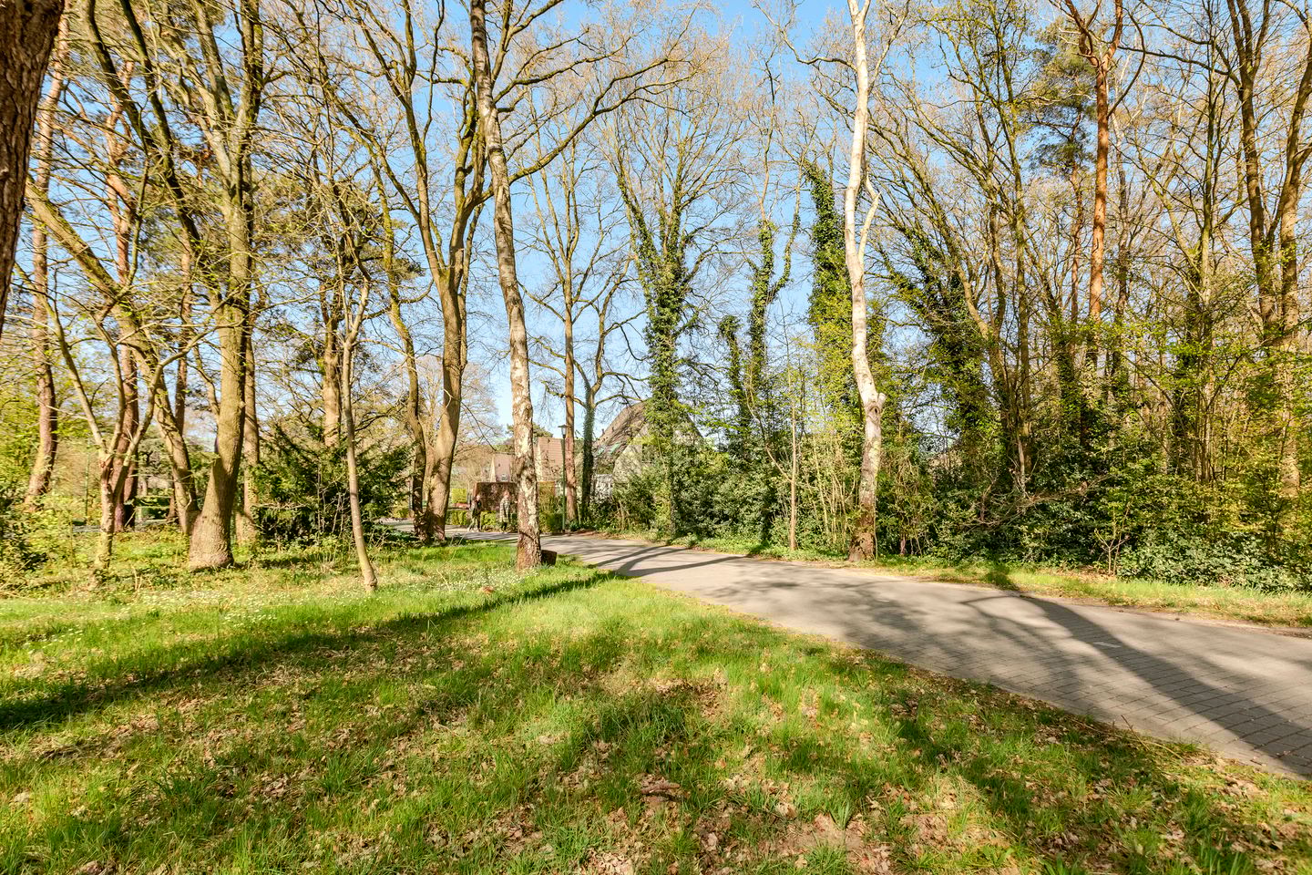 Photo 44 of Koperwiek 31