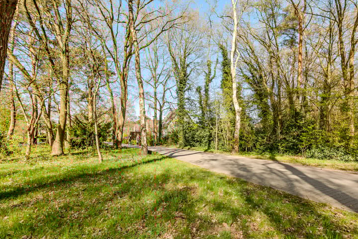 Foto 44 van Koperwiek 31