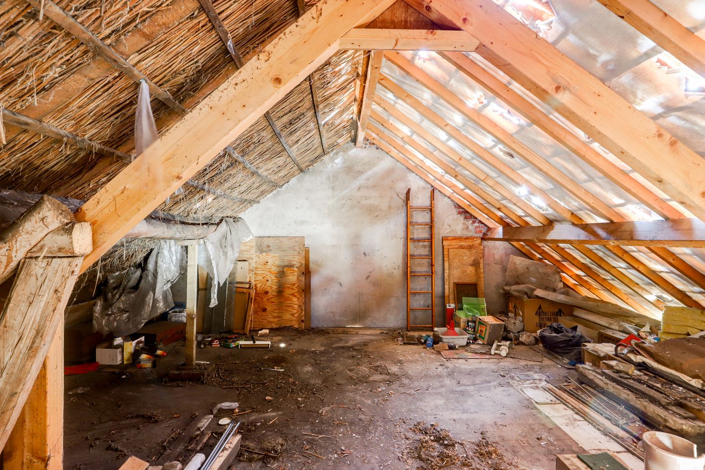 Foto 35 van Groenedijk 3