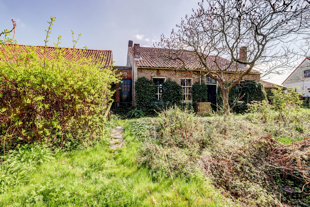 Foto 41 van Groenedijk 3