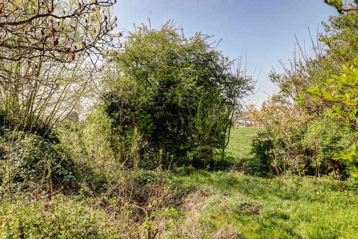 Foto 43 van Groenedijk 3