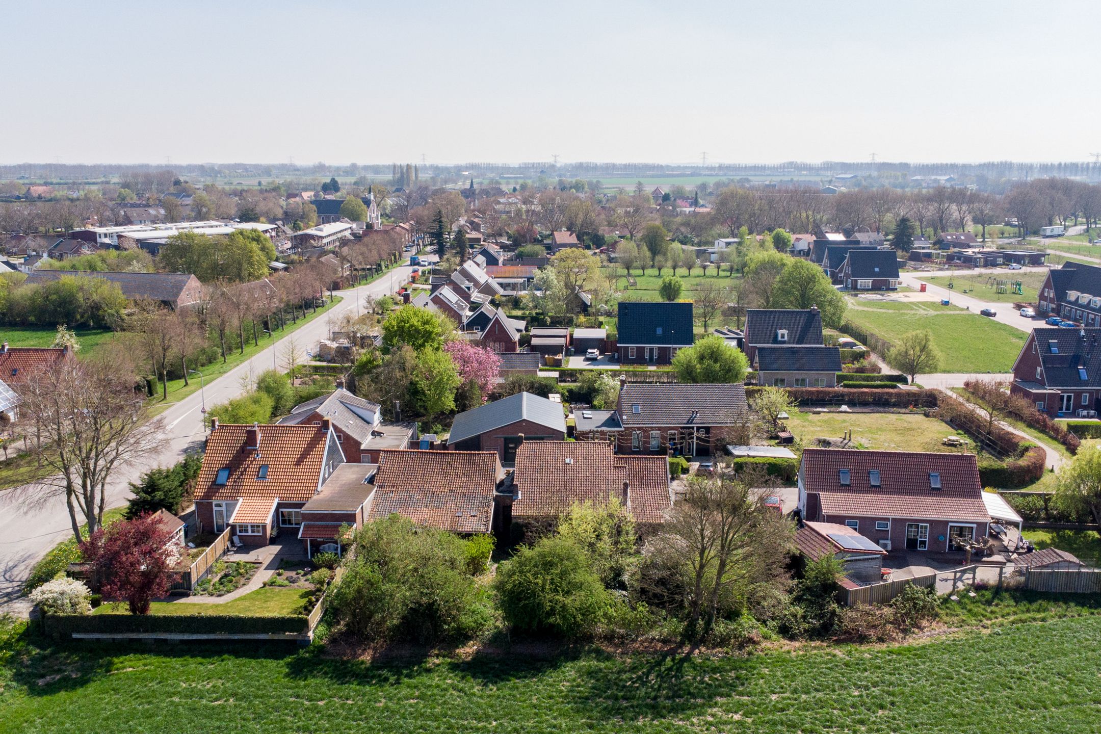 Foto 51 van Groenedijk 3