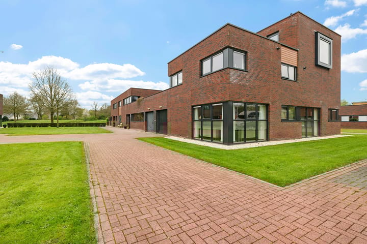 Foto 4 van Pinksterbloem 7