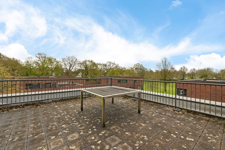 Foto 34 van Pinksterbloem 7