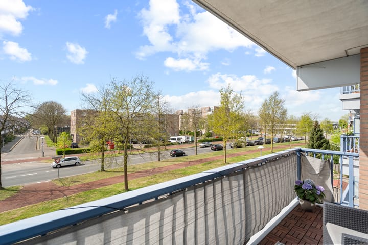 Foto 9 van Miamidreef 25