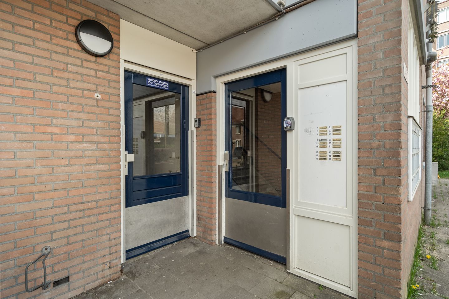 Photo 35 of Miamidreef 25