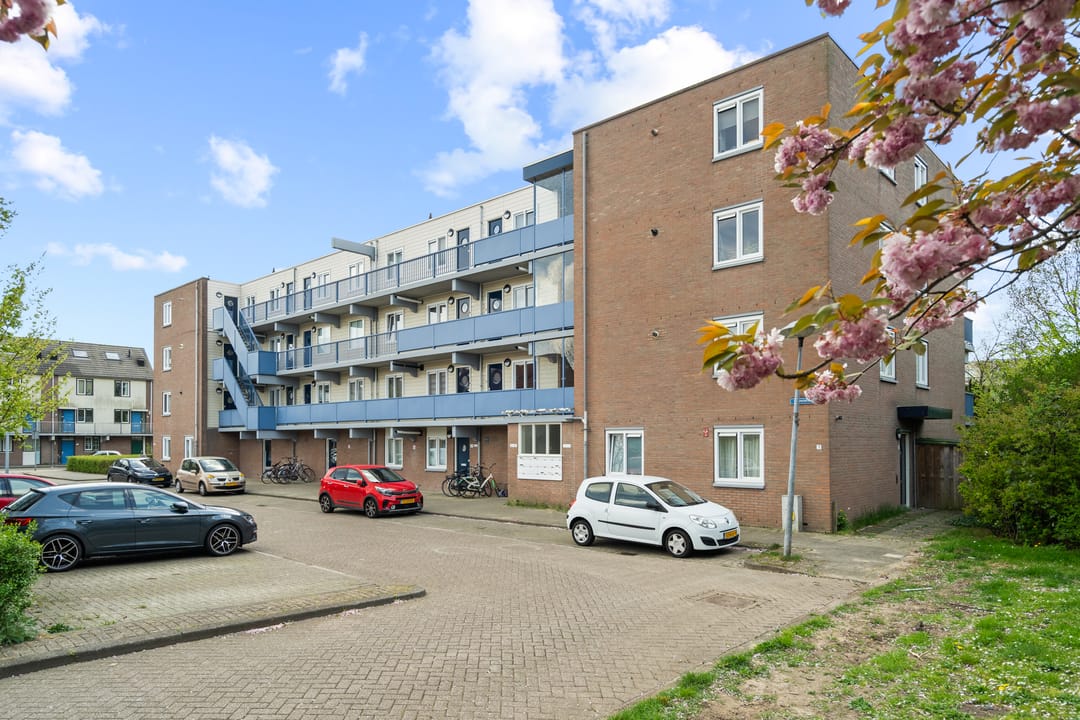 Photo 37 of Miamidreef 25