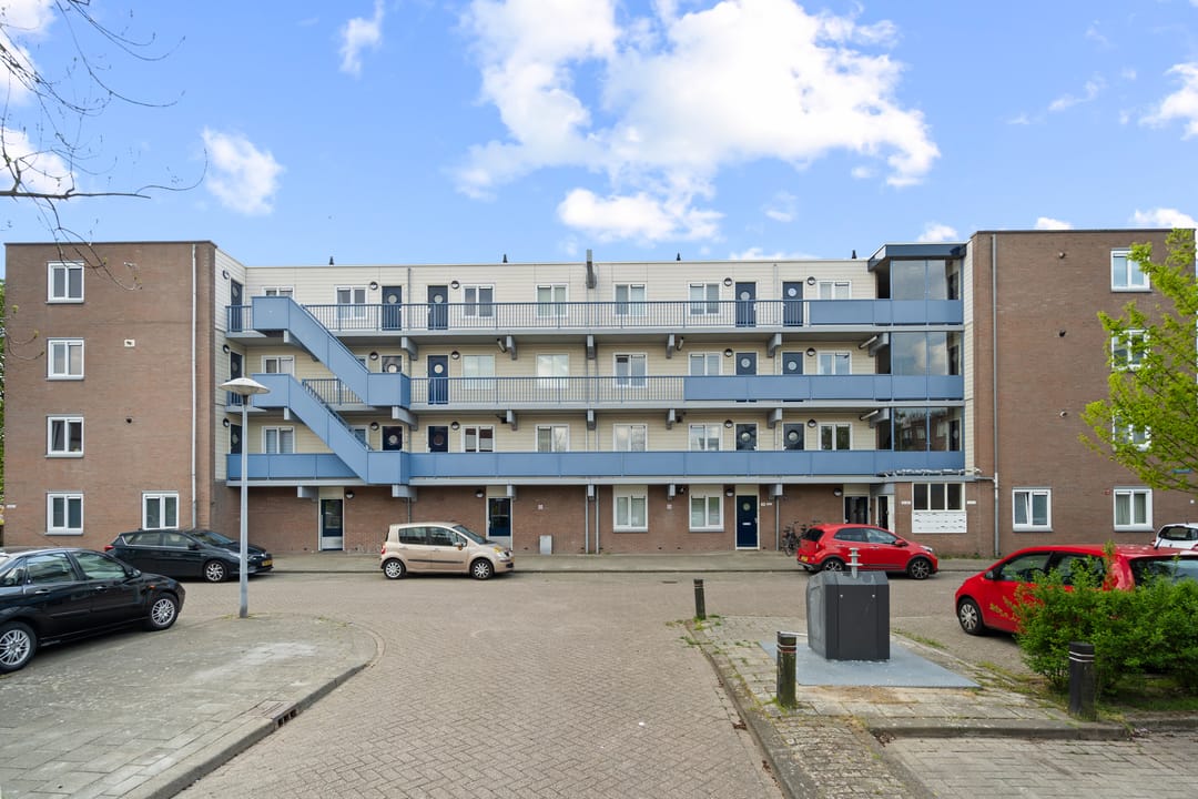 Photo 38 of Miamidreef 25