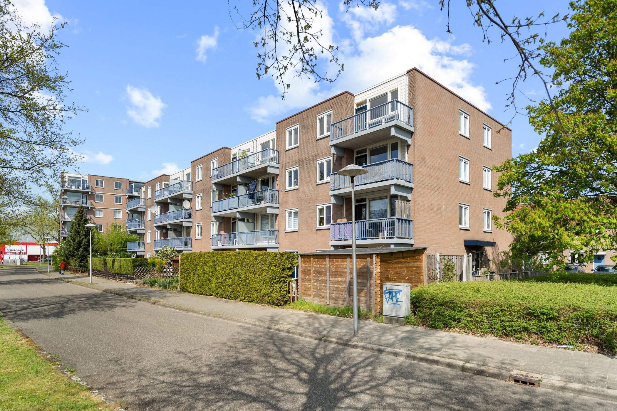 Photo 39 of Miamidreef 25