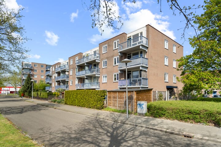 Foto 39 van Miamidreef 25