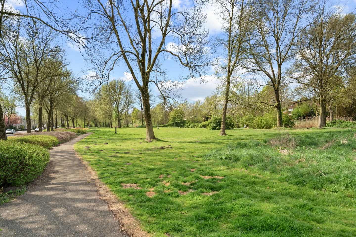 Photo 40 of Miamidreef 25