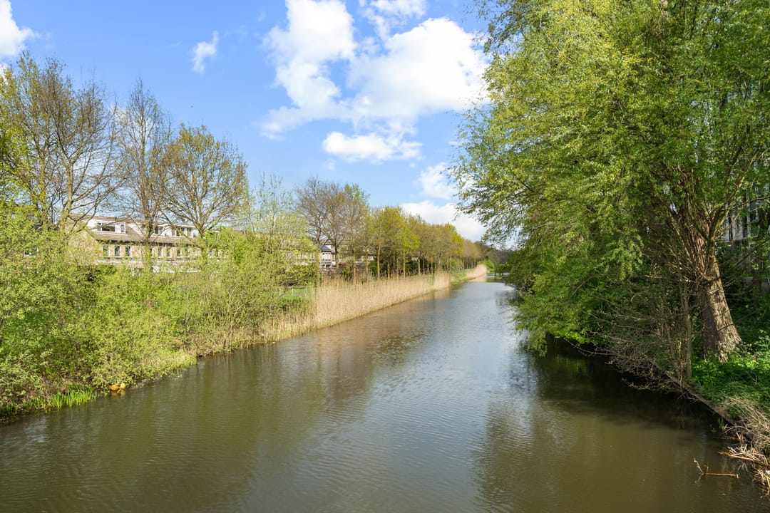 Photo 41 of Miamidreef 25