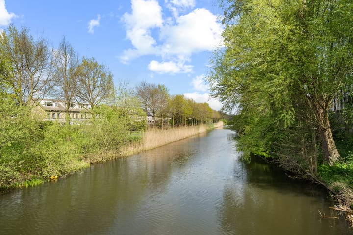 Foto 41 van Miamidreef 25