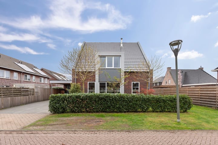 Photo 3 of Boterbloem 2