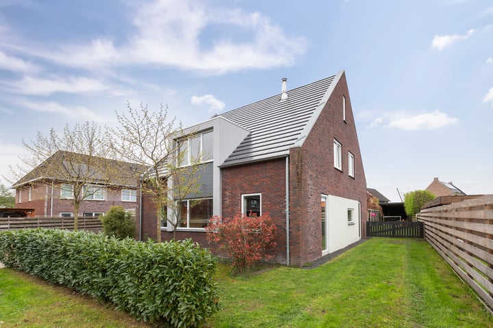 Photo 4 of Boterbloem 2
