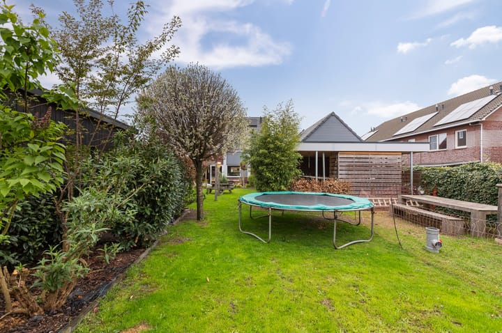 Foto 36 van Boterbloem 2