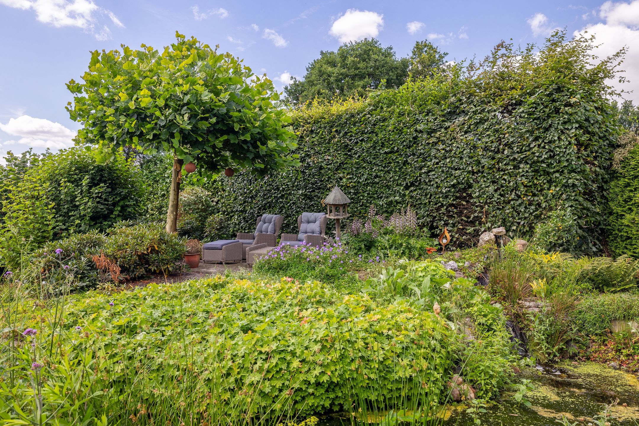 Foto 48 van Capelsedreef 26