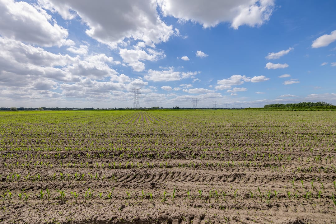 Foto 52 van Capelsedreef 26