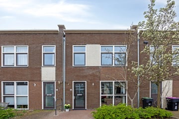 Ypeijstraat thumbnail