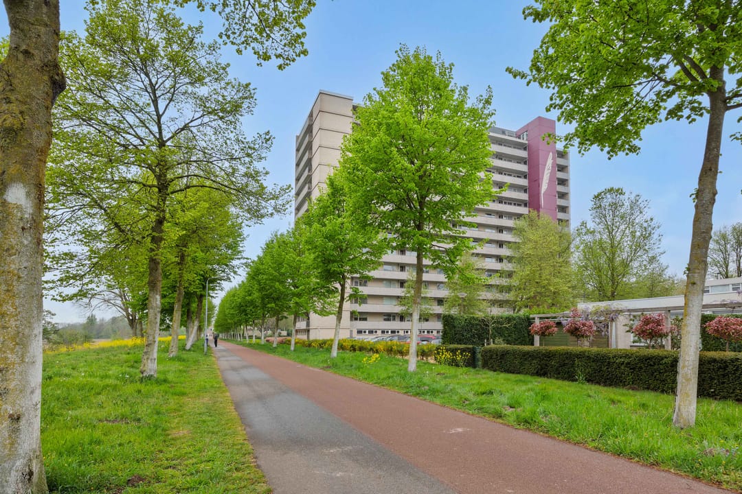 Foto 31 van Socrateslaan 141