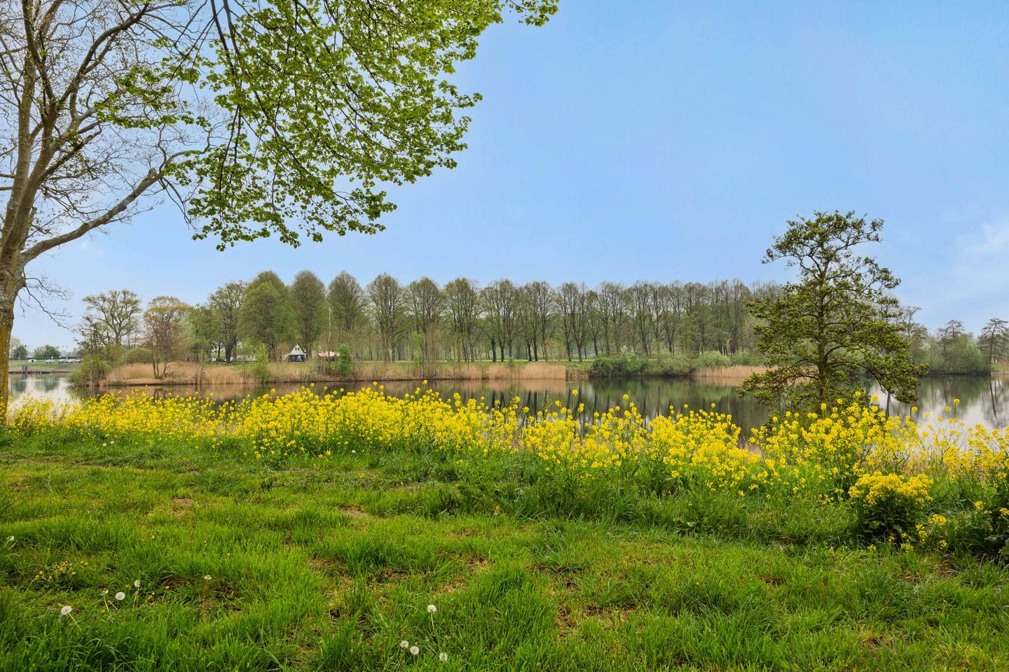 Foto 34 van Socrateslaan 141