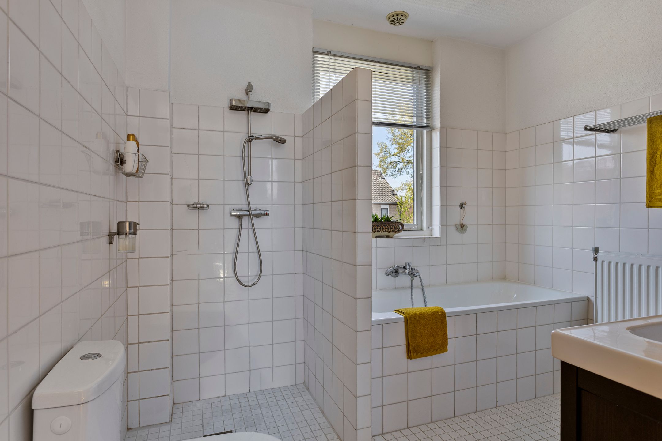 Photo 24 of Louis Saalbornstraat 5