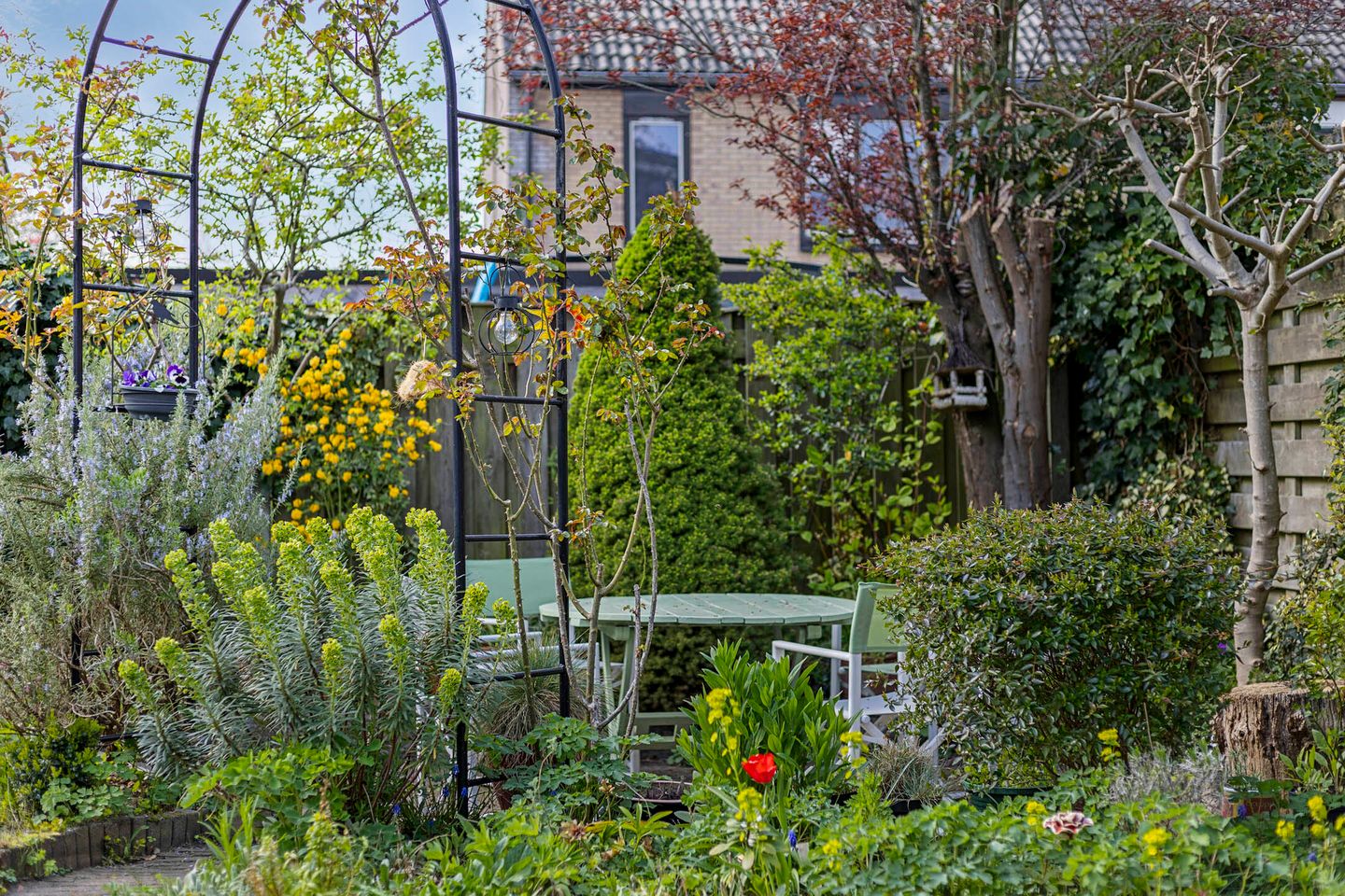 Photo 29 of Louis Saalbornstraat 5