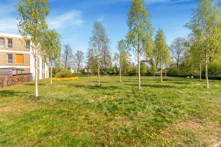 Foto 33 van Walstro 27