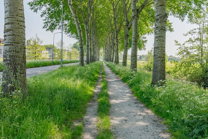 Foto 48 van De Boog 84