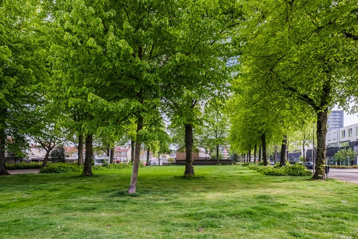 Foto 35 van Bakhuizen van den Brinklaan 65