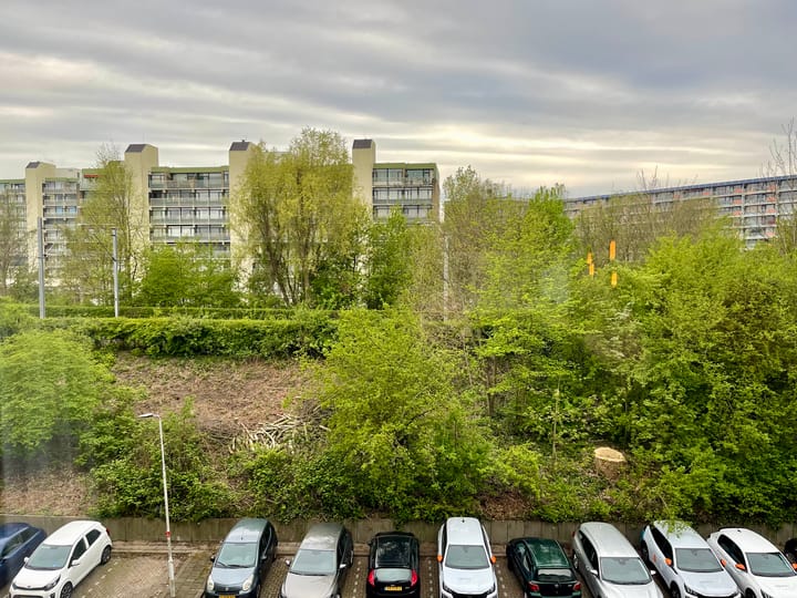 Foto 9 van Albrandswaard 360