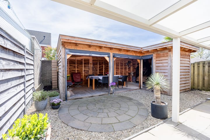 Foto 2 van Penningkruid 80