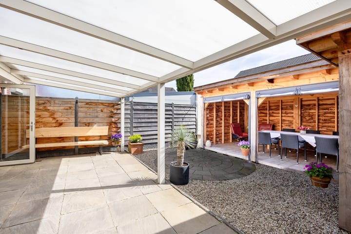 Foto 3 van Penningkruid 80