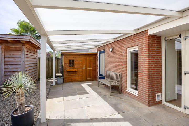 Foto 4 van Penningkruid 80