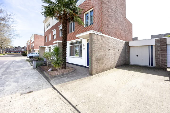 Foto 5 van Penningkruid 80