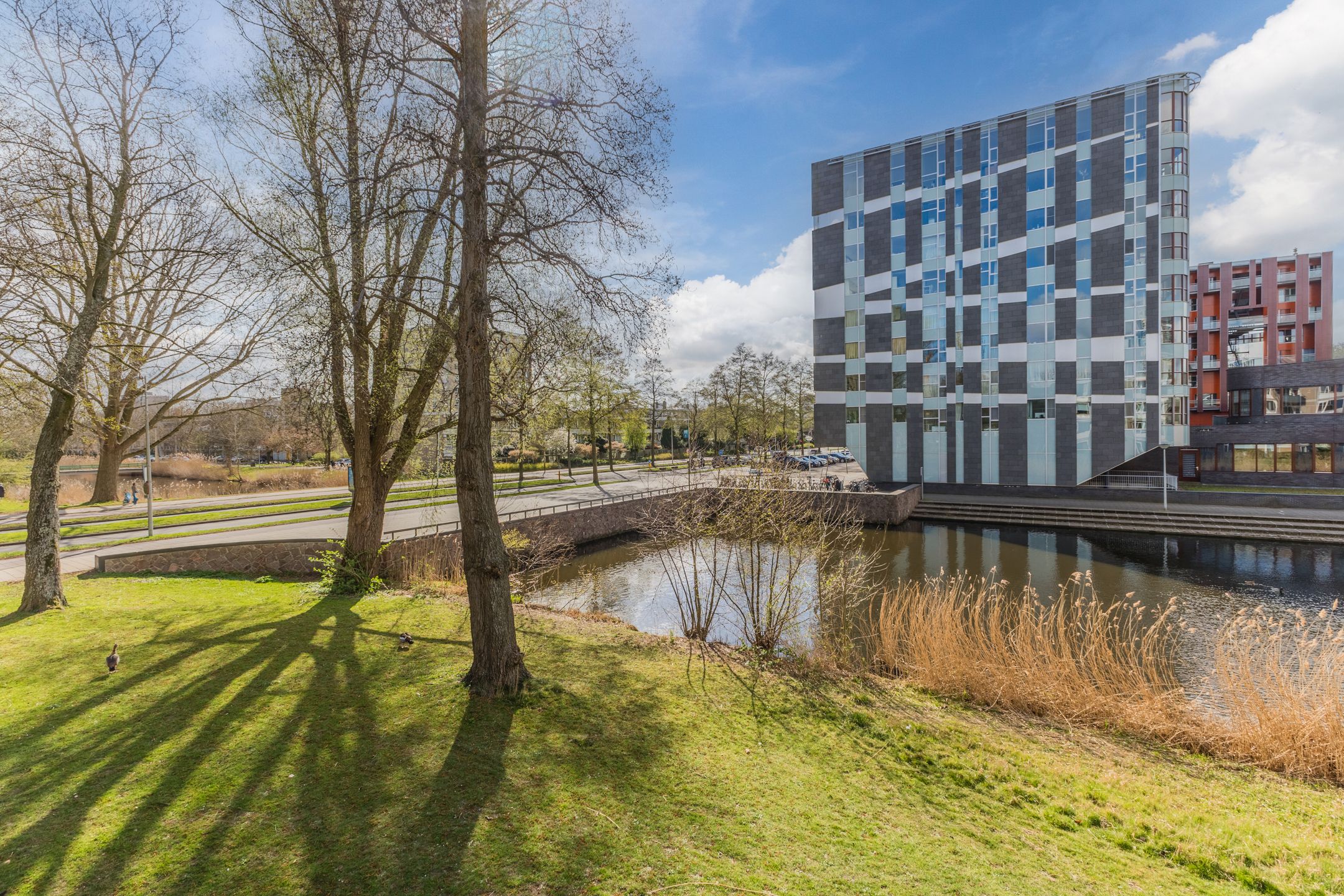 Photo 3 of Frieslandstraat 3